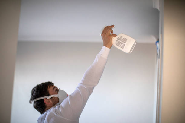 Best Mold Remediation for Schools in Yreka, CA