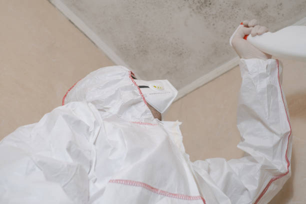 Best Residential Mold Remediation in Yreka, CA